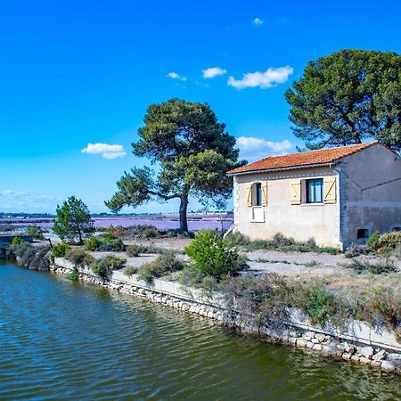 Mas De Colomina Aigues-Mortes Villa Kültér fotó