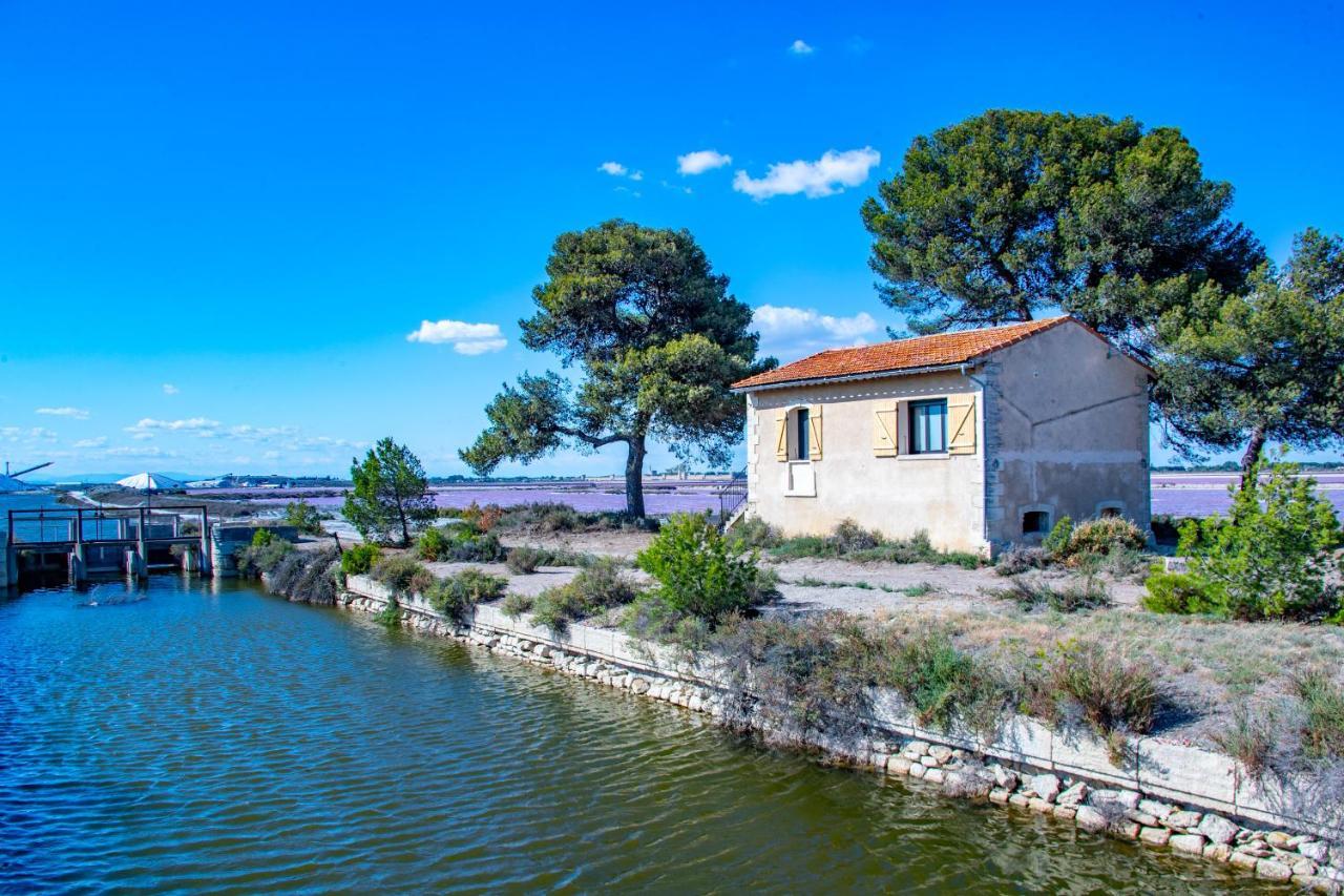 Mas De Colomina Aigues-Mortes Villa Kültér fotó